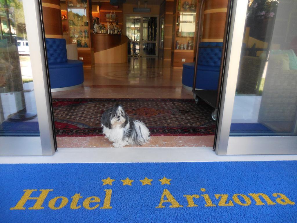 Hotel Arizona 利尼亚诺萨比亚多罗 外观 照片